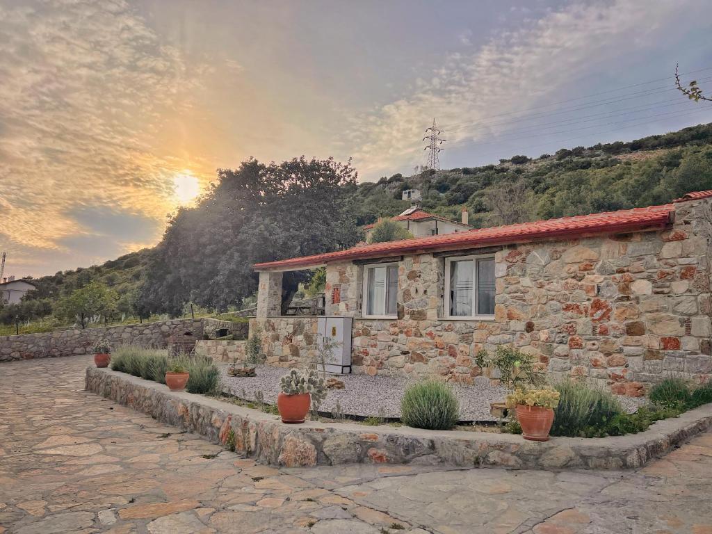 a stone house with potted plants in front of it at Karaincirevleri in Emecik