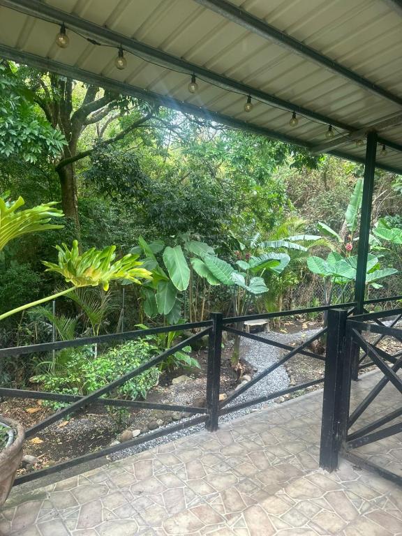a view of a garden through a fence at Villa Luis in Boquete