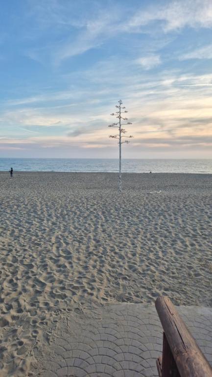 a pole on a beach with a tree on it at Stella Sea House2 in Torvaianica