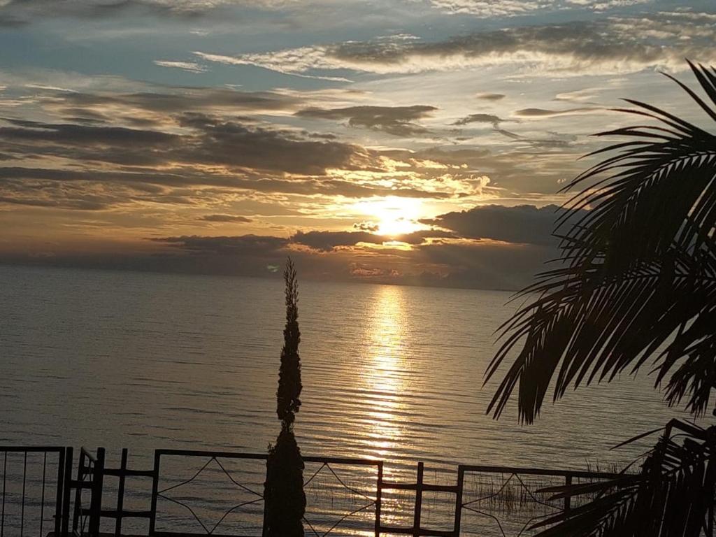 a sunset over the ocean with a palm tree at Samfya waterfront lodge 