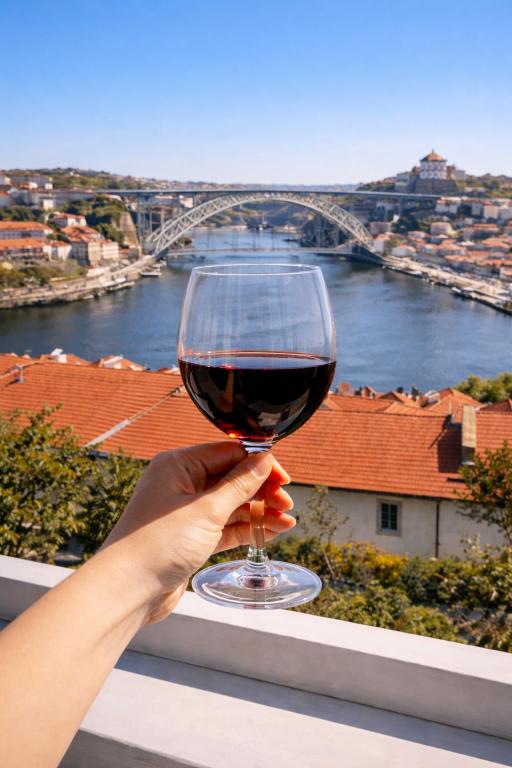 Panoramic Douro View - Bridge & City Centre