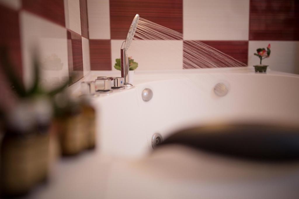 Hotel Rina Cerbul - Resim 27