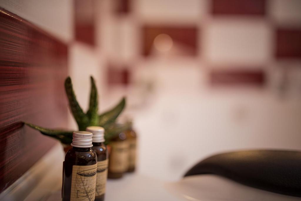 Hotel Rina Cerbul - Resim 17