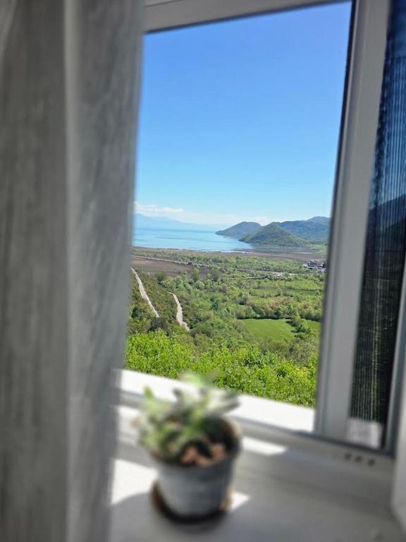 a potted plant sitting on a window sill with a view at Sunrise Skadar lake in Braćeni