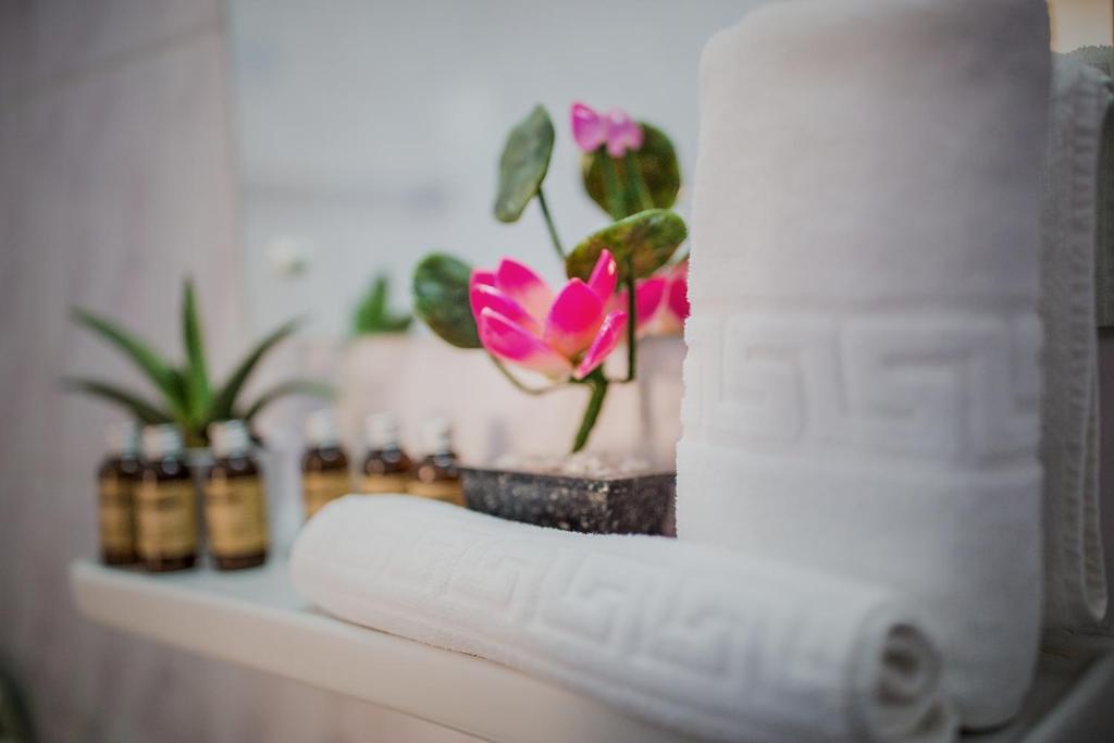 Hotel Rina Cerbul - Resim 28