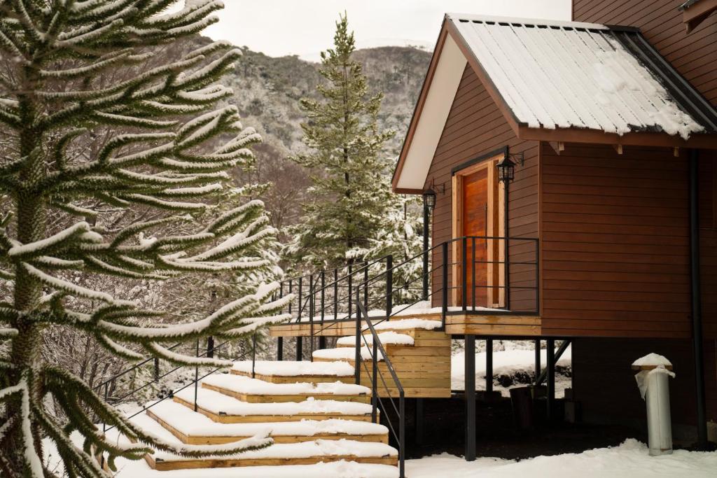 a cabin in the snow with a snow covered tree at Cuyul Lodge in Malalcahuello
