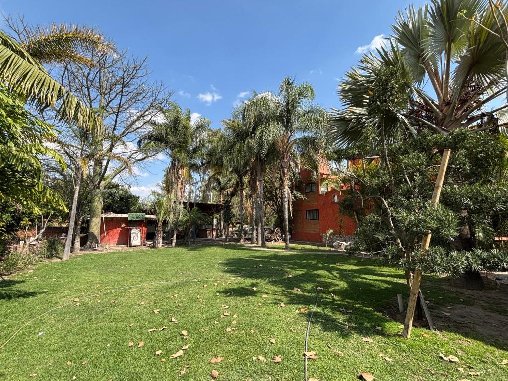 a yard with palm trees and a house at Loft familiar campestre en Atlixco in Atlixco
