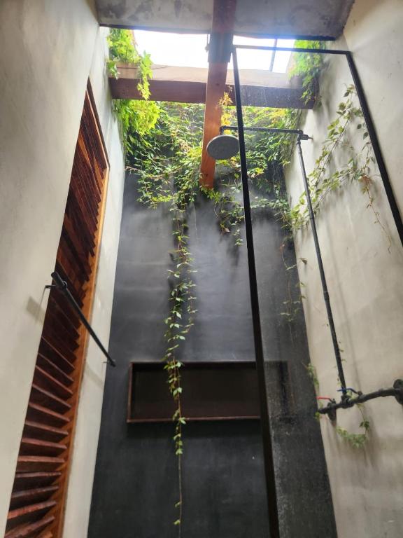 a hallway with a plant on the side of a building at Mango Soul in Tamanique