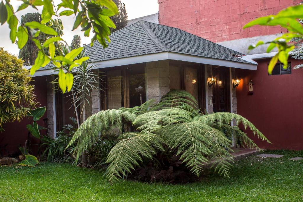 a house with a palm tree in front of it at Mi casa, tu casa in Guatemala