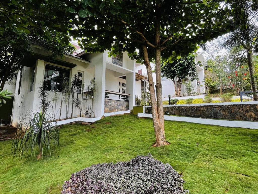 a house with a green yard with a tree at Hidden Serene in Kalpetta