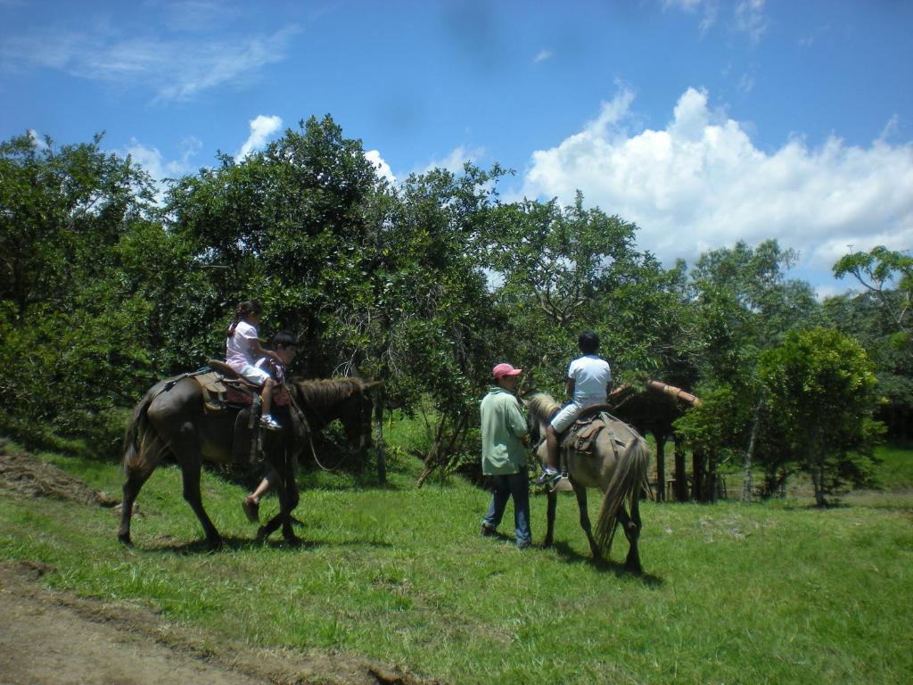 Animales en el hotel o alrededores