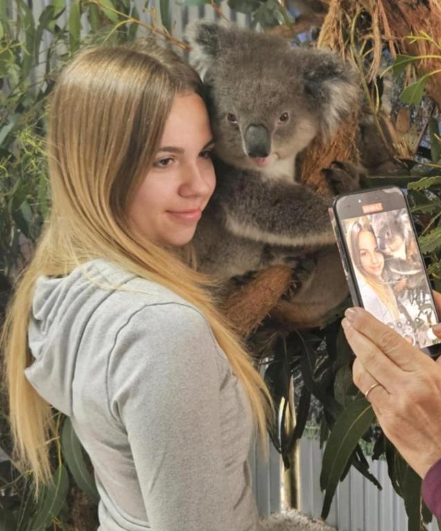 a woman is taking a picture of a koala at Fauna Australia Wildlife Experience in Lavers Hill