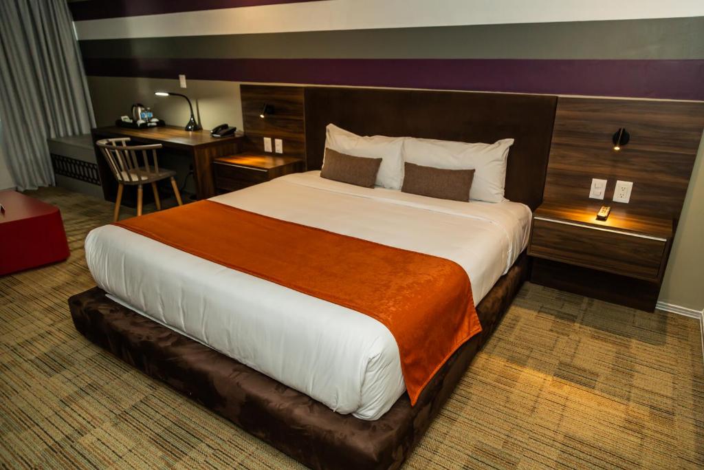 Hotel Casa Ciudad - Standard Queen Room