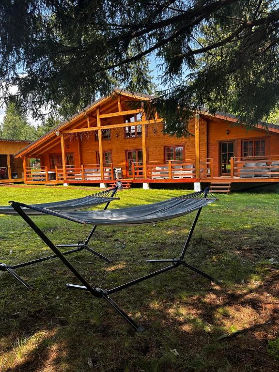 a house with a picnic table in front of it at Casa cu cerdac in Şarul Dornei