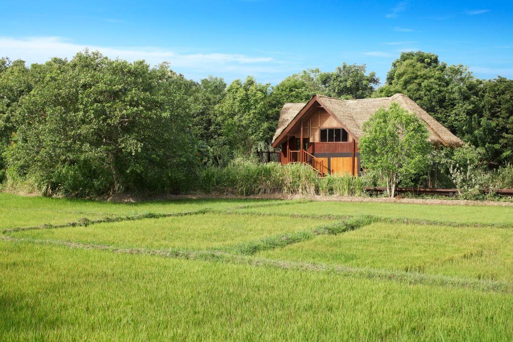 Jetwing Vil Uyana, A Luxury Reserve - 1