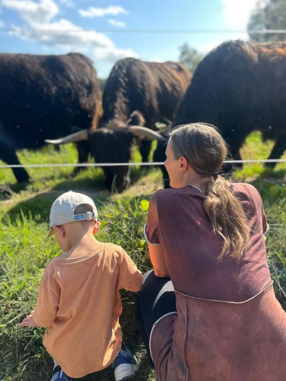 a woman and a child looking at a herd of cows at Sommartornsgård in Munkedal