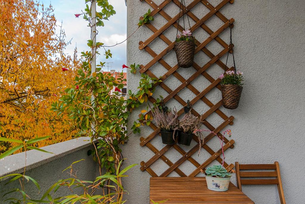 Zahrada ubytování Charming Apartment