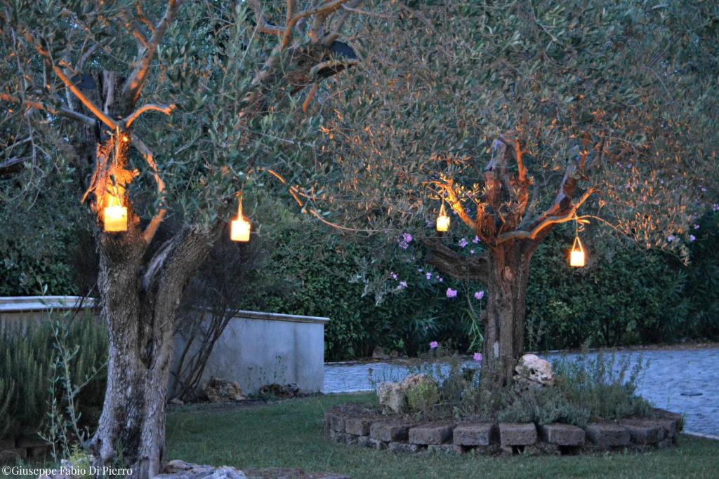 A garden outside Bed & Breakfast Case Osti