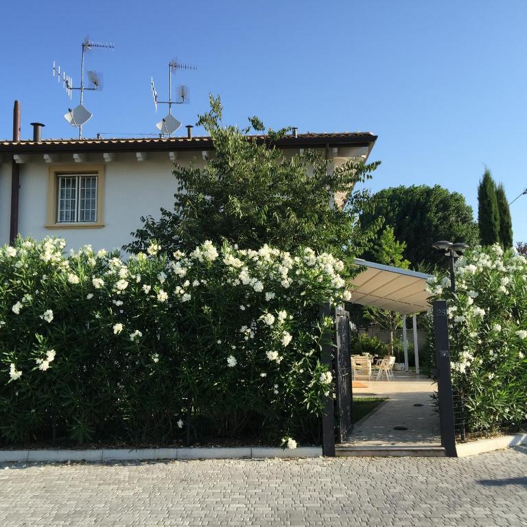 A garden outside Bed & Breakfast Case Osti
