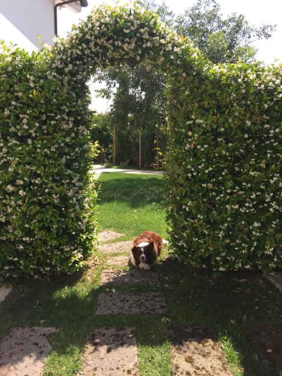 A garden outside Bed & Breakfast Case Osti