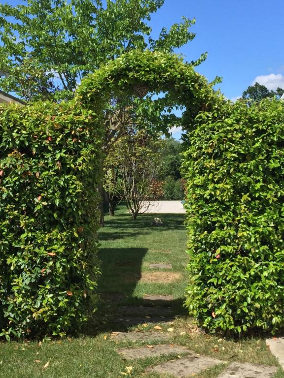 A garden outside Bed & Breakfast Case Osti