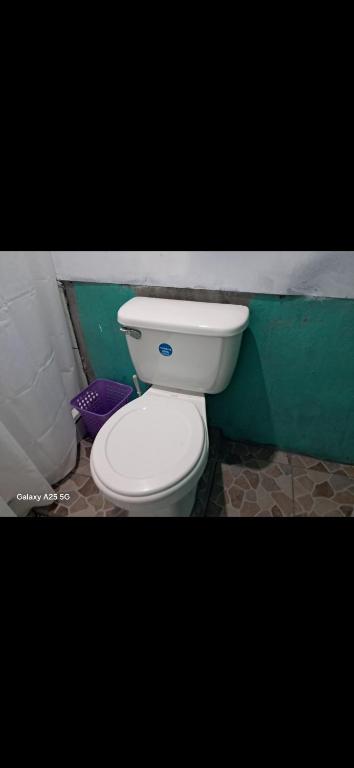 a white toilet in a bathroom with a green wall at Casa,del vozque in Manzanillo