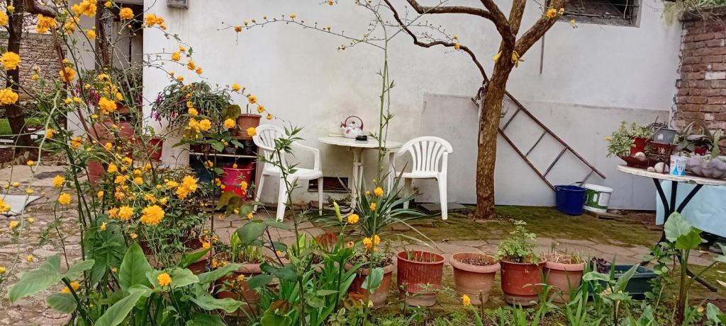 a garden with a table and chairs and flowers at Enki's Garden in Tirana