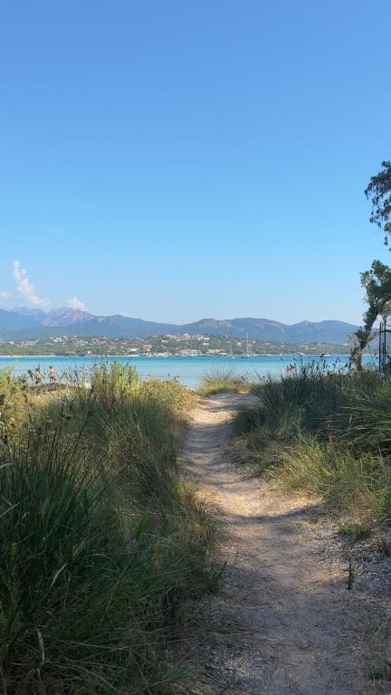 a dirt road next to a beach with a body of water at Mini villa proche mer in Zonza