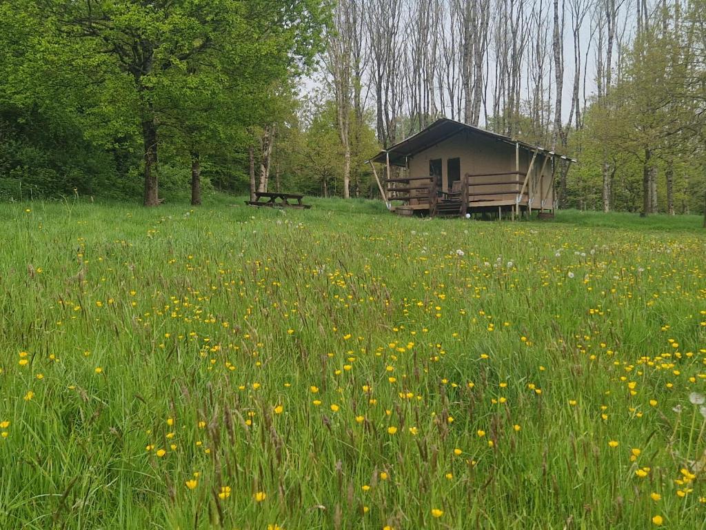 a cabin in the middle of a field of flowers at Deer Barn Retreats in Hockworthy