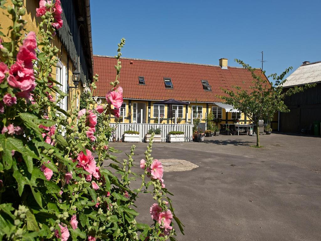 een gebouw met roze bloemen ervoor bij Myregaard B & B and Apartments in Snogebæk
