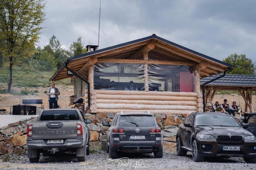 two cars parked in front of a log cabin at Cabanele 2 Mitici in Săliştea de Sus