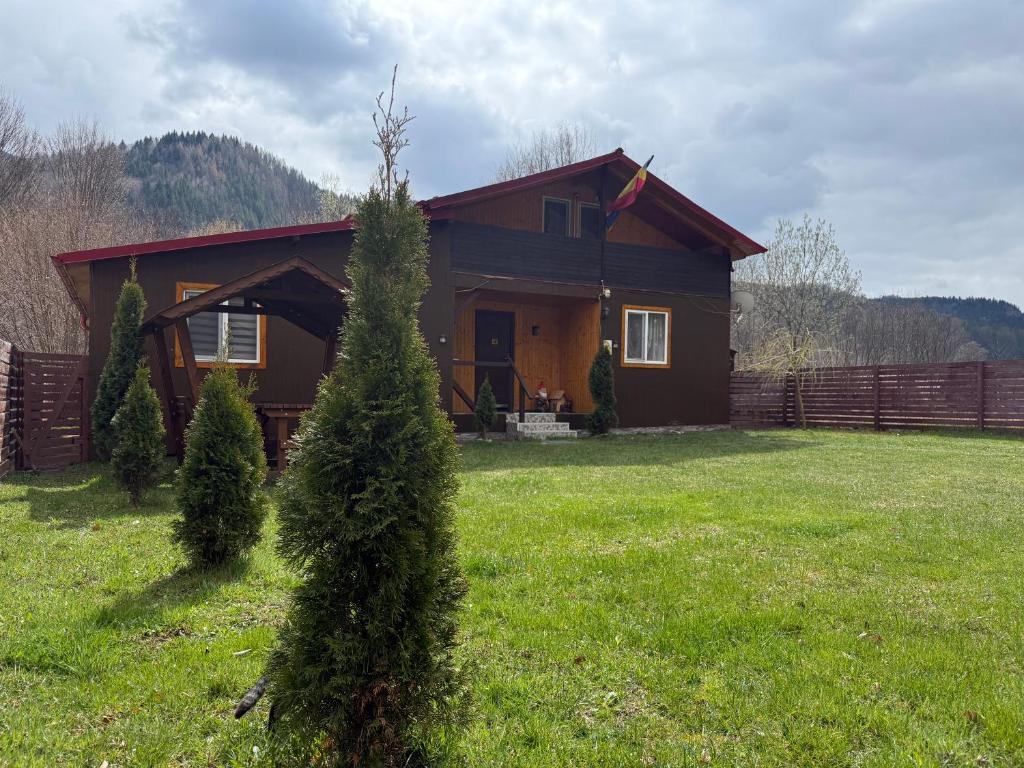 a small house in a field with a tree in the yard at Cabana lucia in Tarcău-Gheuca