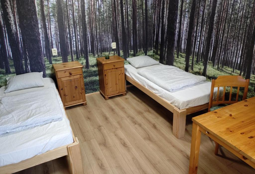 two beds in a room with trees in the background at Viesumāja Kuncīši Murjāņos in Murjāņi