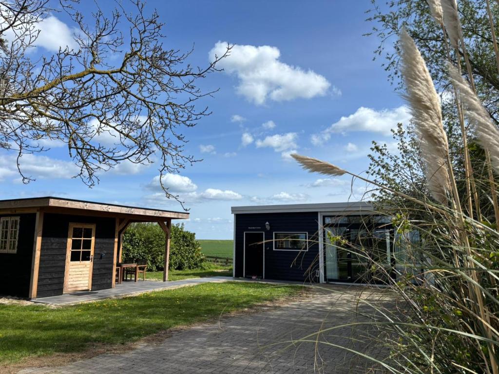a barn conversion with a blue shed and grass at Waegen Uus in Wolphaartsdijk