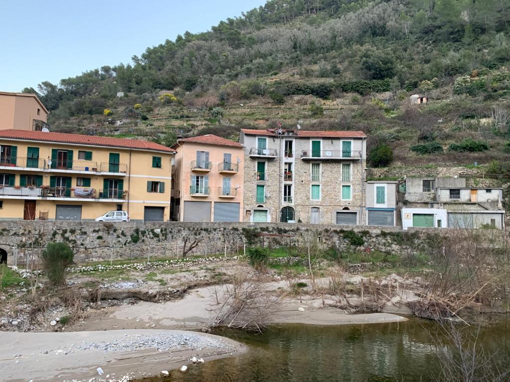 Torri Amori
