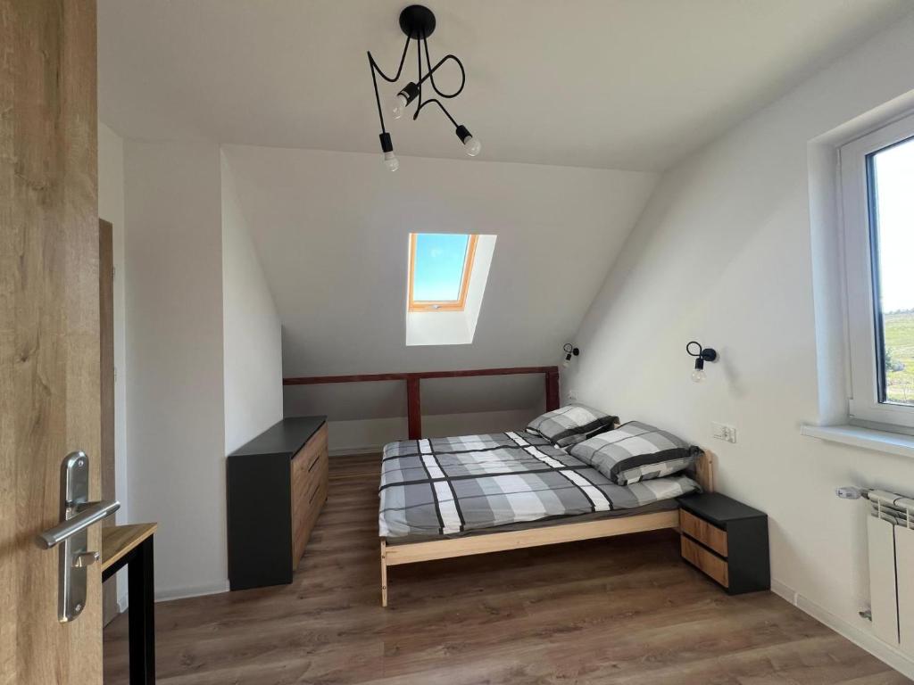 a bedroom with a bed and a window at Noclegi u Adama in Probark