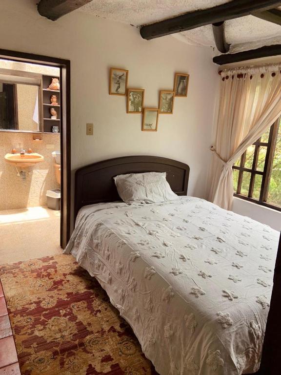 Hotel Rokas de Suesca - Camera Doppia
