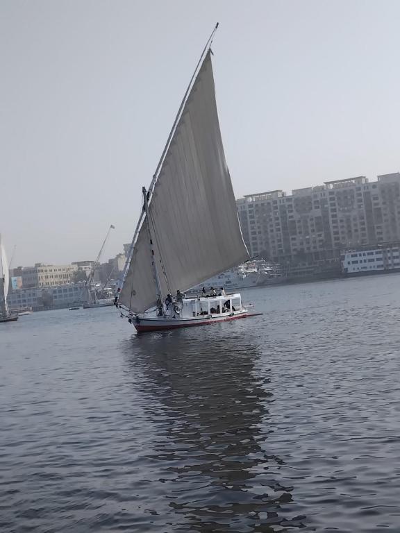 a small boat with a large sail on the water at Royal Felucca - Shared Amazing Sailing in Aswan