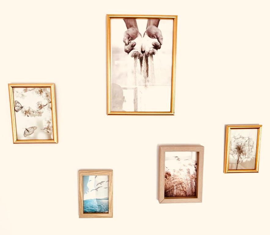 a group of framed pictures on a wall at Lemba, apartman 4 zvjezdice in Opuzen