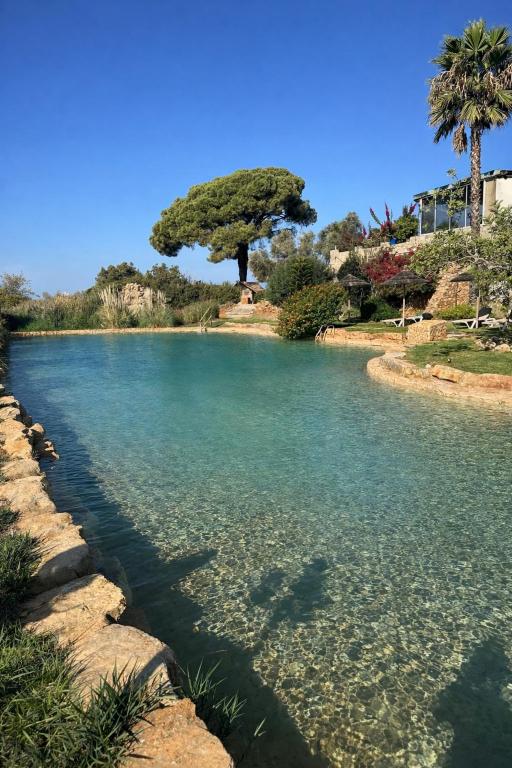 a body of water with a tree in the background at Oasis Camp Portugal in Lagoa