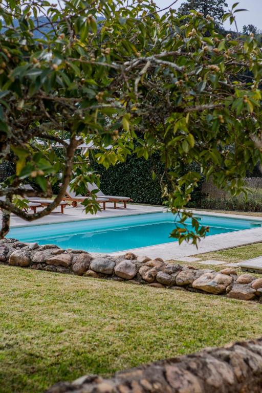 a swimming pool in a yard with a tree at Casa da Ponte de Mucela in Vila Nova de Poiares