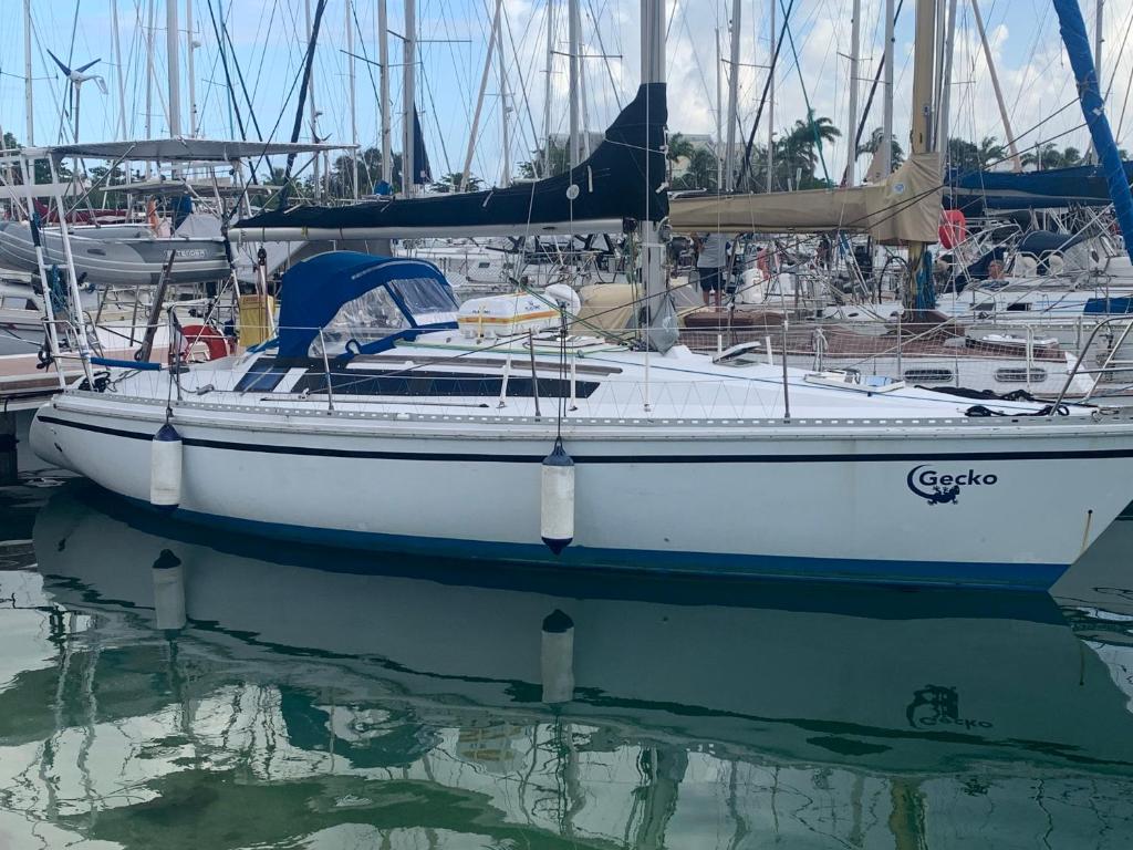 a white boat is docked in a harbor at Nuits sur un voilier in Pointe-à-Pitre
