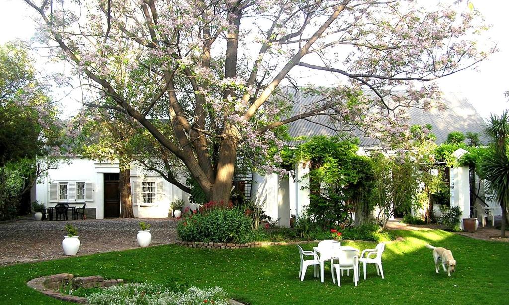 a yard with a table and chairs and a dog at Little Green World in Beaufort West