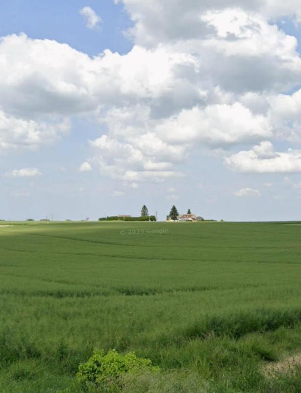 a large green field with a house in the distance at Le bois saint Hilaire in Lémeré