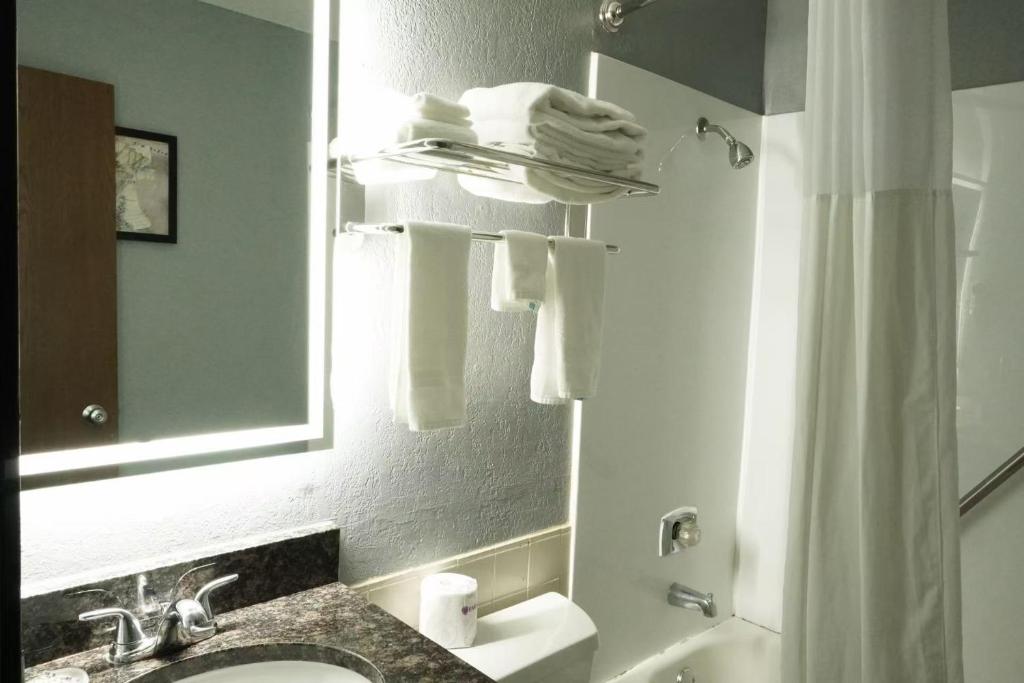 AmericInn by Wyndham Forest Lake - Habitación Con Cama Grande - No Fumadores