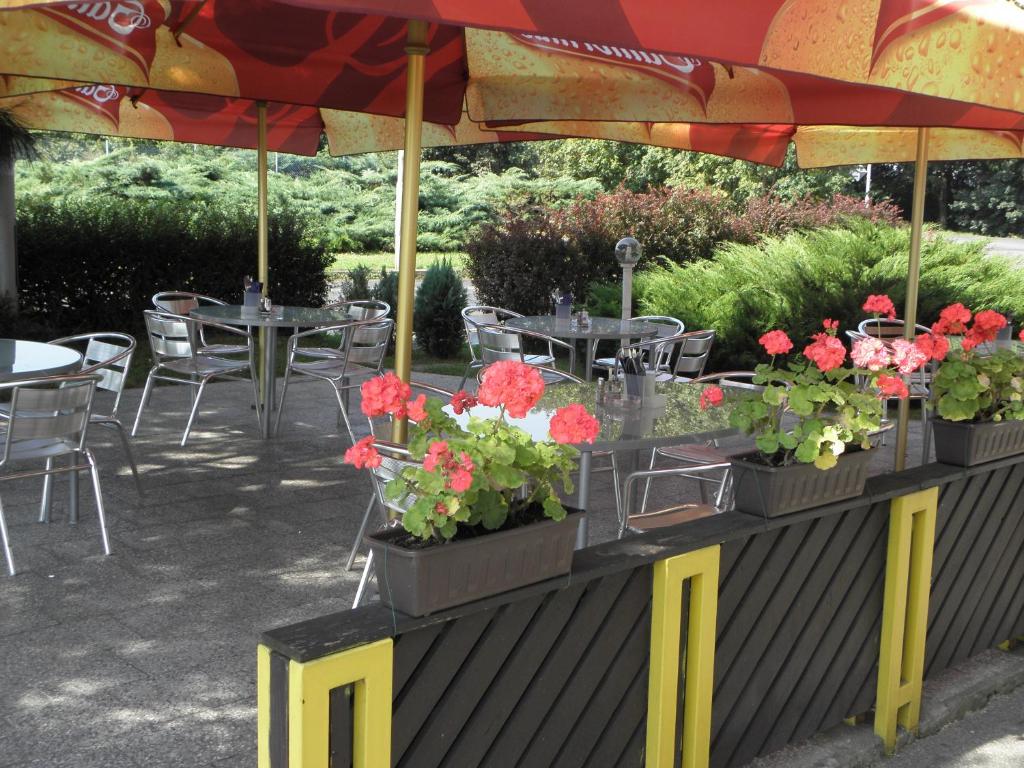 Zahrada ubytování Hotel Milotel