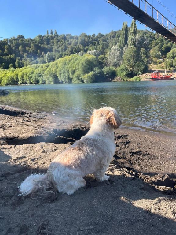 Cordillera Cabin with Alma Suiza