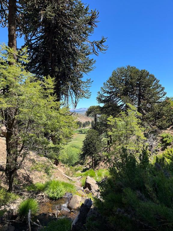 Cordillera Cabin with Alma Suiza