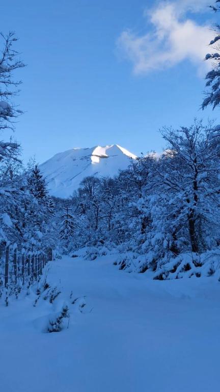 Cordillera Cabin with Alma Suiza