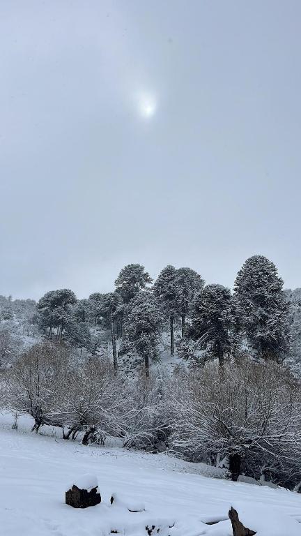 Cordillera Cabin with Alma Suiza